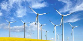 bp-sees-green-infra-go-with-the-wind