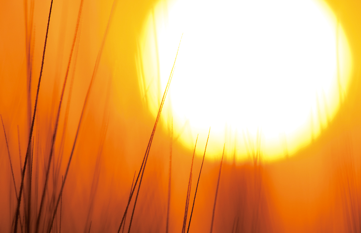Post Header Image