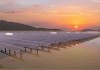 India’s booming renewable energy sector