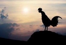 global economic and political uncertainties