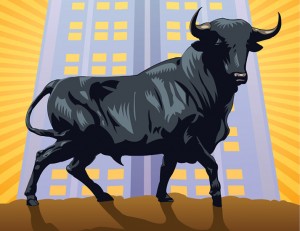 Bull