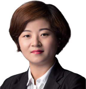 丁金玲 DING JINLING 万慧达北翔知识产权集团 律师 Attorney-at-Law Wanhuida Peksung IP Group