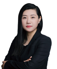 WILLOW WEI 大成律师事务所 顾问 Counsel Dentons