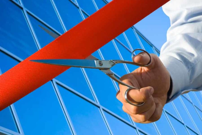 Business-Partner-Law-Firm-Lawyer-Korea