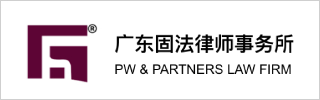 PW & Partners 2020