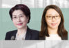 Wang Jihong Zhao Huiqi Zhong Lun Law Firm state aid rules