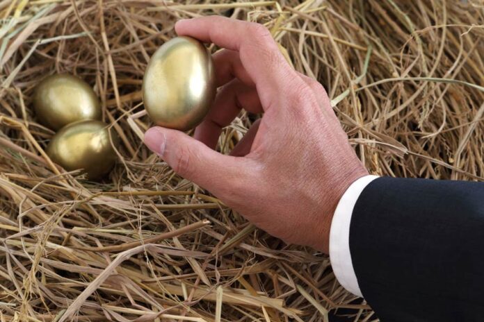 multi cap investment diversification