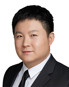 叶涵, Ye Han, Partner, Merits & Tree Law Offices