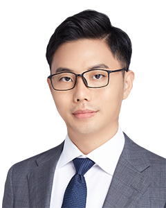 李明, Li Ming, Partner, Merits&Tree Law Offices