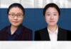 Choosing between provisional injunction and partial judgment, 如何选择临时禁令与先行判决的救济模式, Wang Yaxi and Wu Yue