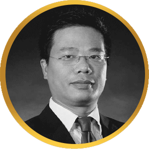 Nguyen Dang Viet Bizconsult