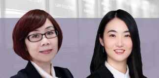 Investment and M&A modes in the senior care industry, 养老产业投资并购模式简析, Cindy Hu and Yang Jiaxin, East & Concord Partners