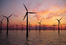 wind farm renewable