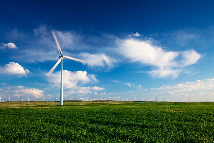 Carbon-neutral-Global-Law-Office-环球律师事务所
