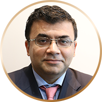 Ankit Majmudar, Quillon Partners