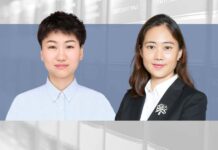 YAO XIAOMIN and Lin Lin, Lantai Partners, 