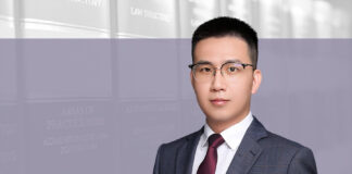 Wang Zheng, ETR Law Firm