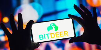 Six firms on crypto miner Bitdeer Technologies