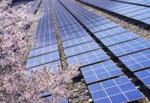 Linklaters assists Actis